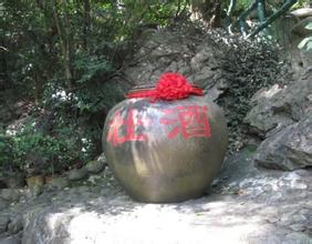 内脏泡米酒