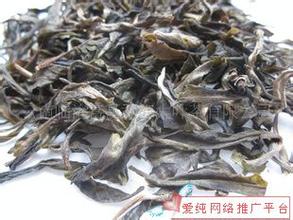 勐库大叶茶