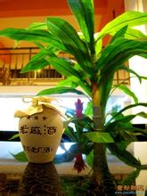罗平老厂酒