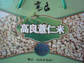 高良苡仁米