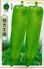 特大牛角椒