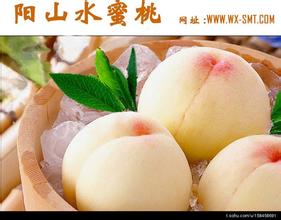 白凤桃
