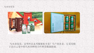 乌木春绿茶