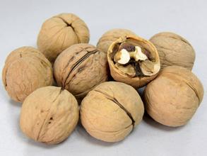 喀什核桃