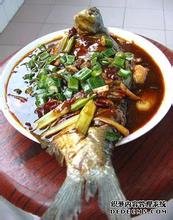 洮河鱼