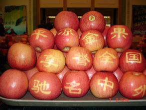 平凉金果