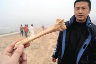 东川乡马泉村红枣