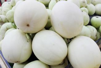 喀纳斯蜜瓜