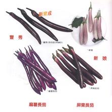 麻薯长茄