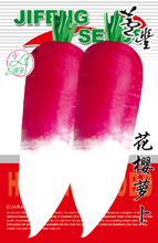 红樱萝卜