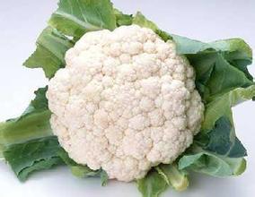 榆中菜花