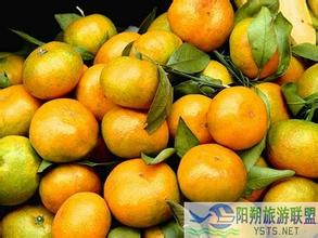 碰柑