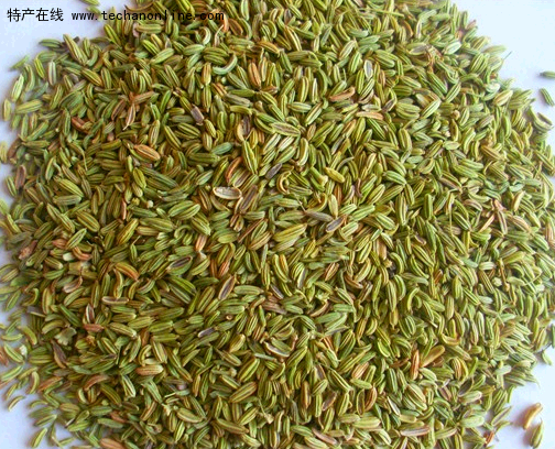 喀什小茴香(孜然)