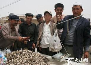 巴楚蘑菇
