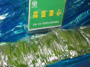 高盛菜心