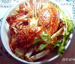 兴城梭子蟹