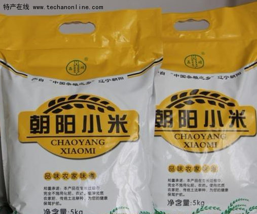 朝阳小米