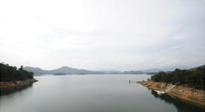 三道岭水库大鲢鱼
