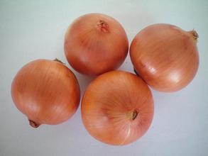 元葱