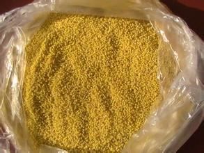 化石戈精制小米