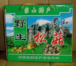 野生松菇