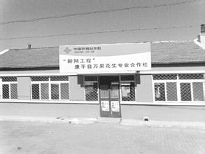 康平花生