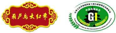 葫芦岛大红枣