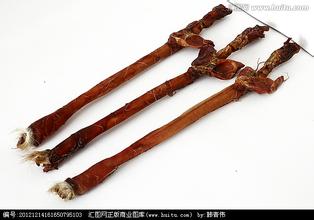 鹿鞭