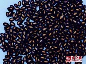 内蒙古黑瓜籽