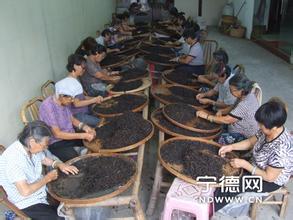 福鼎白琳工夫