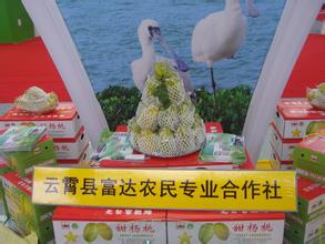 下河杨桃