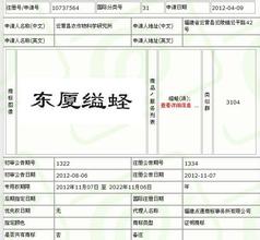 东厦缢蛏