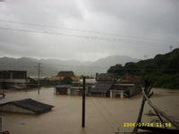 官浔淡水虾