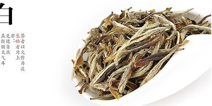 白牡丹茶