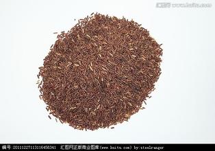 福鼎红米