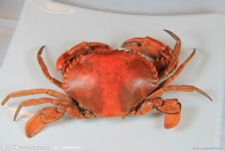 漳浦沙西红鲟