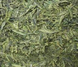 官司绿茶