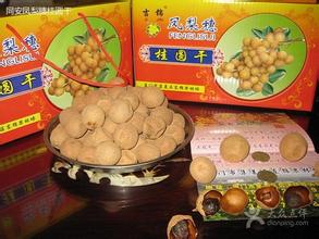 同安龙眼
