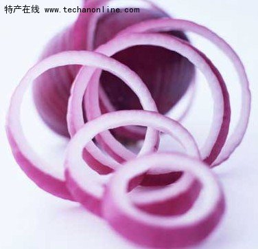仁兆圆葱