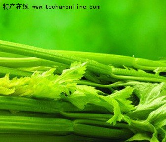 鲍家芹菜