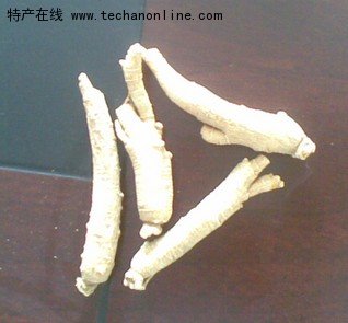 文登西洋参