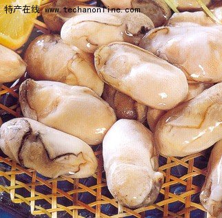荣成牡蛎