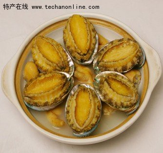 荣成鲍鱼