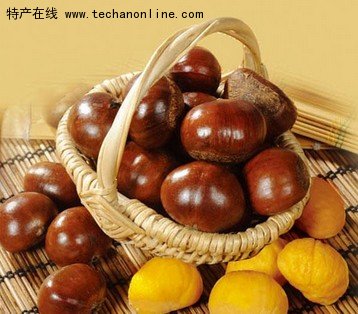 莒南板栗