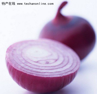 仁兆圆葱