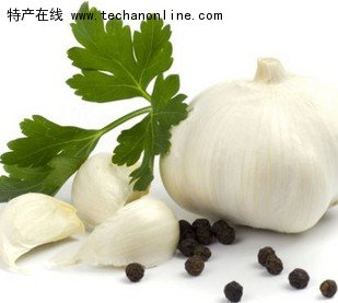苍山大蒜