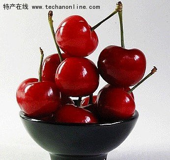 福山大樱桃