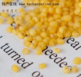 临淄边河小米