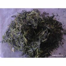 步云高山云雾茶