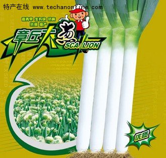 章丘大葱
